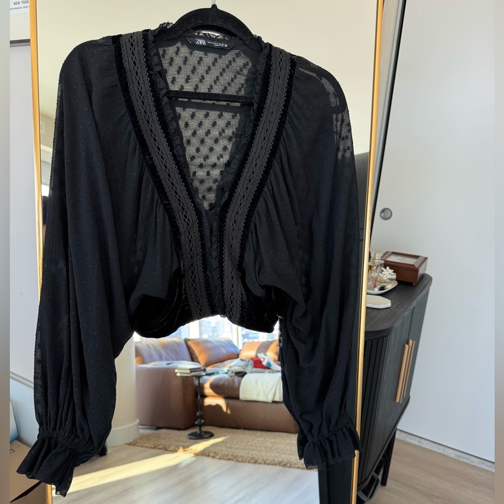 Zara Sheer Embroidered Velvet Skirt - Small